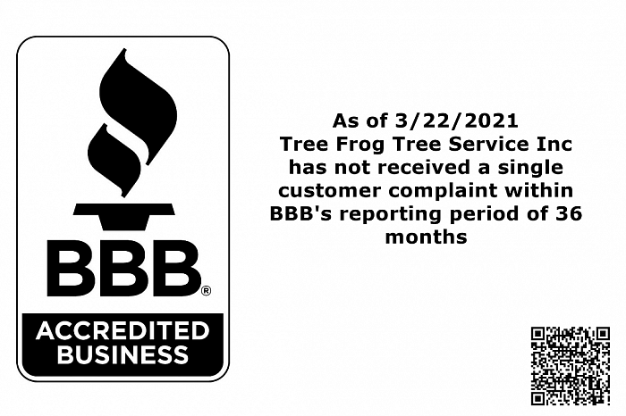 BBB Accreditation