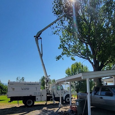 We have a bucket truck and a climber to meet ALL of your needs!
