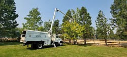 Bucket Truck at work!