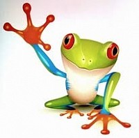 Tree Frog