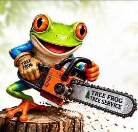 Tree Frog